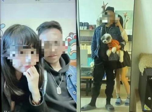 博士最新爆料视频,科技前沿与未来趋势深度解析